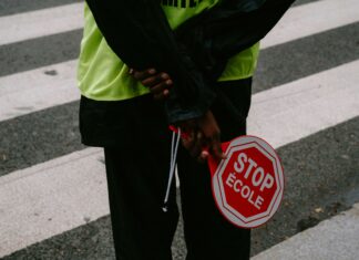 School Crossing Sign: Why Every Driver Must Know Its Crucial Meaning