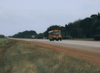 How Long Is A School Bus? Discover Surprising Facts Today!