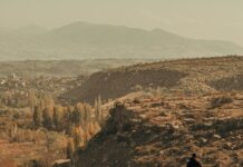 The Earth Lord’s School Life Chapter One: Shocking Secrets Revealed