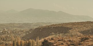 The Earth Lord’s School Life Chapter One: Shocking Secrets Revealed