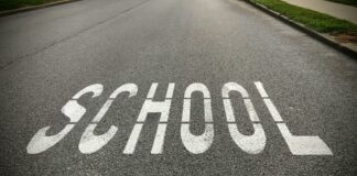 School Zone Sign Secrets Every Driver Needs to Know Today