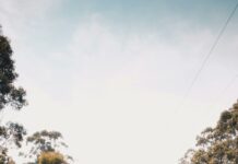 Kingsford High School: Discover Amazing Opportunities and Success Stories