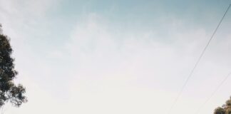 Kingsford High School: Discover Amazing Opportunities and Success Stories