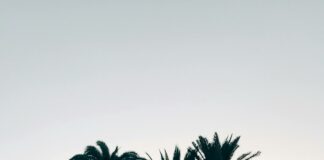 Palm Beach School Calendar: Essential Dates You Can’t Miss