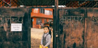 pexels photo 11431584