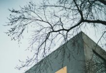 Private Christian Schools Near Me: Discover Top Choices for Families