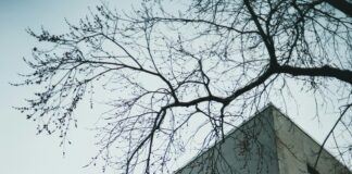 Private Christian Schools Near Me: Discover Top Choices for Families