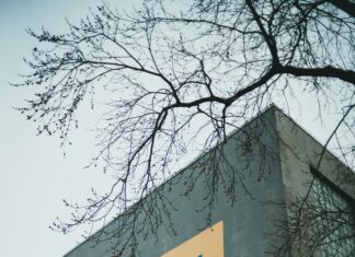 Private Christian Schools Near Me: Discover Top Choices for Families