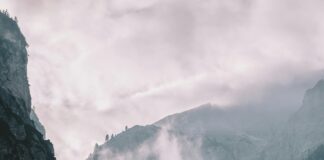 Canyon High School Anaheim Racism: Shocking Truths Revealed