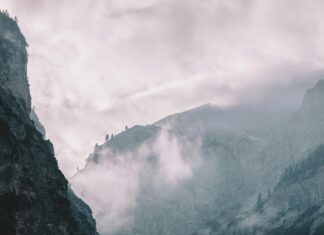 Canyon High School Anaheim Racism: Shocking Truths Revealed