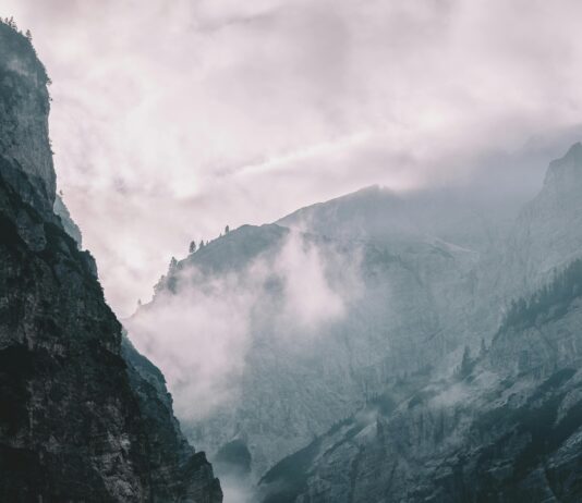 Canyon High School Anaheim Racism: Shocking Truths Revealed pexels photo 1743367