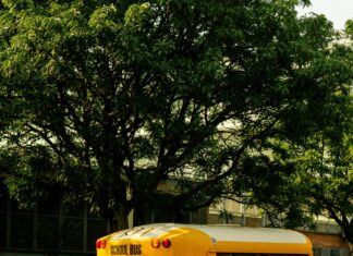 Driving School Bus Secrets: How To Master Safe And Confident Driving