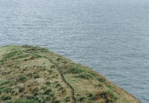 Spring Hill High School Secrets Revealed: What Makes It Unique?