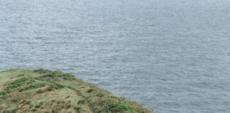 Spring Hill High School Secrets Revealed: What Makes It Unique?