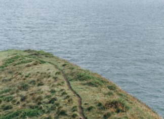 Spring Hill High School Secrets Revealed: What Makes It Unique?