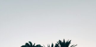 Palm Beach School Calendar: Ultimate Guide To Key Dates & Events