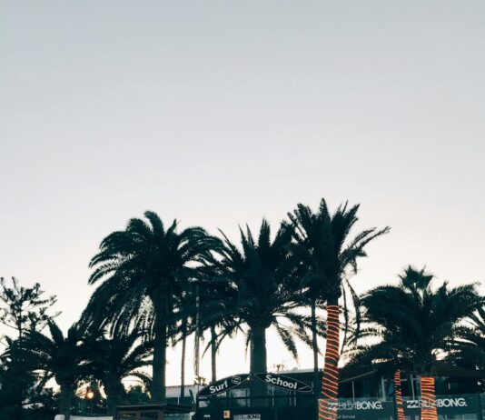 pexels photo 8298853