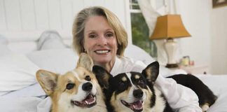 dog bed, dog beds, large dog beds, best dog beds, outdoor dog beds, orthopedic dog beds, chew proof dog bed, raised dog bed, cooling dog bed