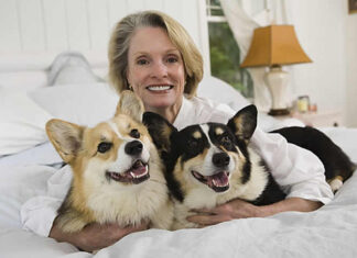 Promoting Canine Health and Comfort: Expert Advice for Dog Owners dog bed, dog beds, large dog beds, best dog beds, outdoor dog beds, orthopedic dog beds, chew proof dog bed, raised dog bed, cooling dog bed