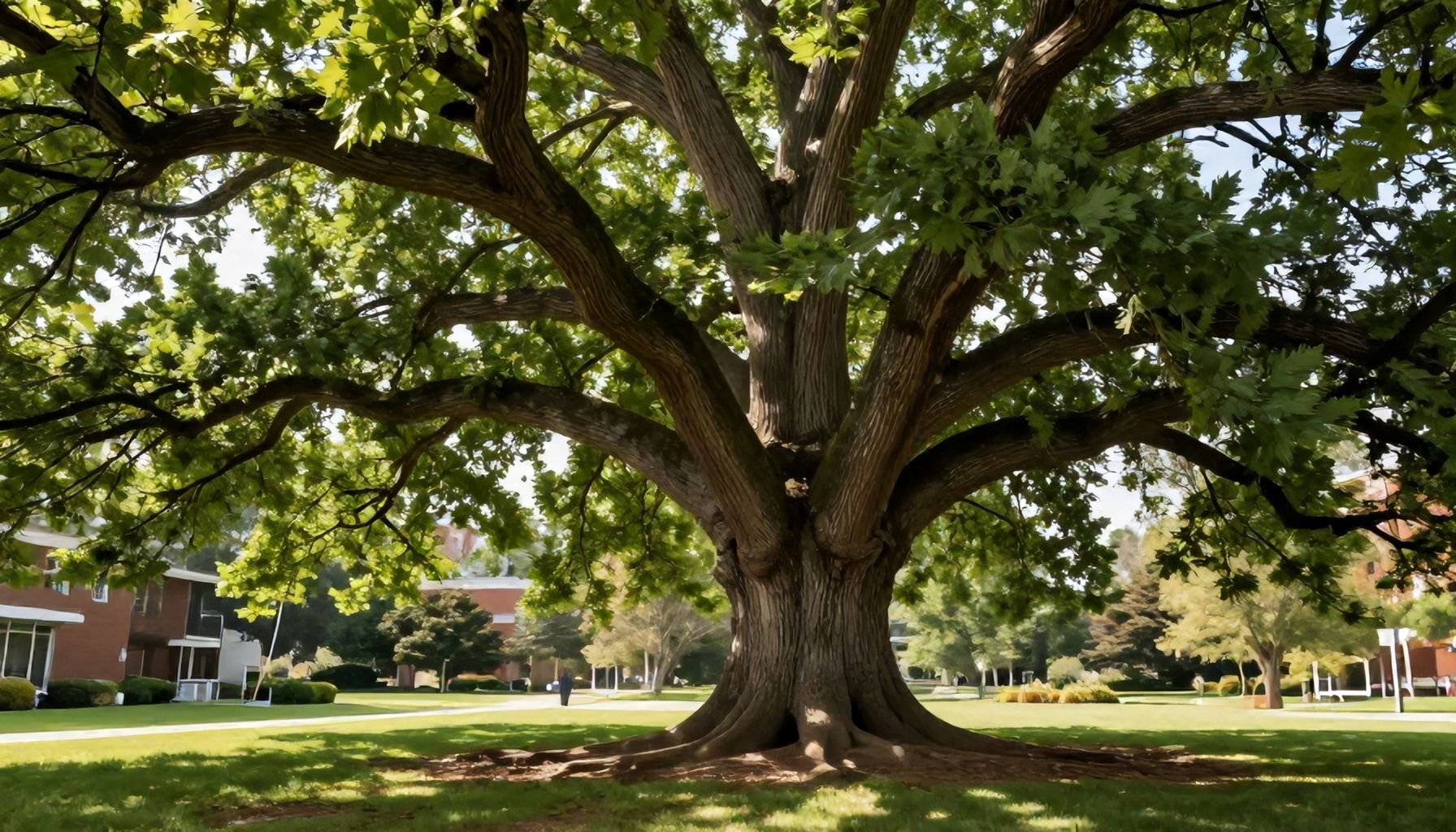 A New Era in Education