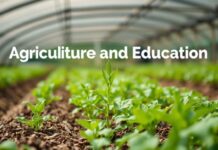 The Intersection of Agriculture and Education: Nurturing Knowledge and Crops