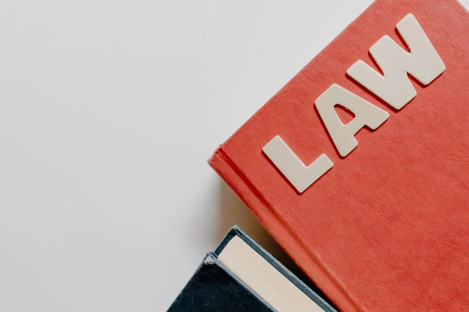 Legal literacy for students